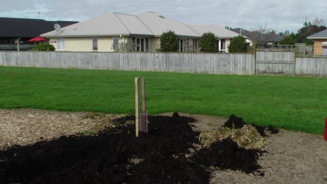 2016.09.29 Mulching. Cambridge Tree Trust